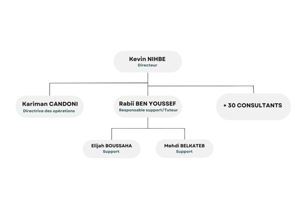 KN Consulting Organigramme